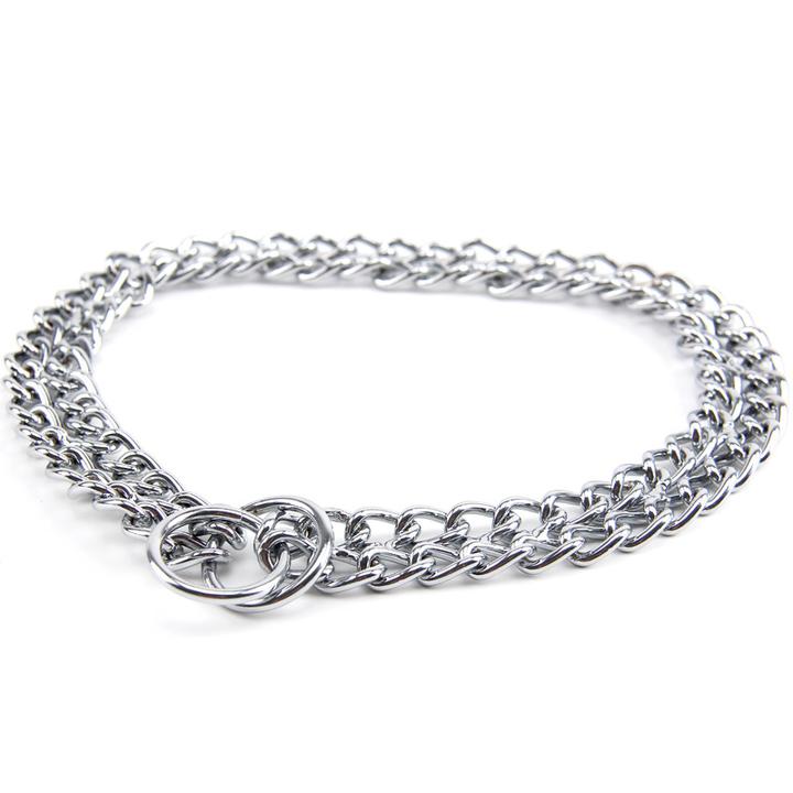 metal dog collar