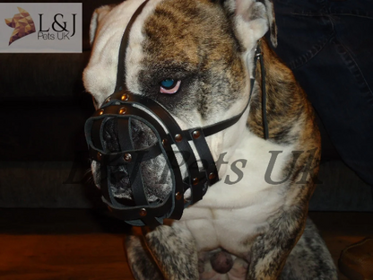 leather dog muzzle