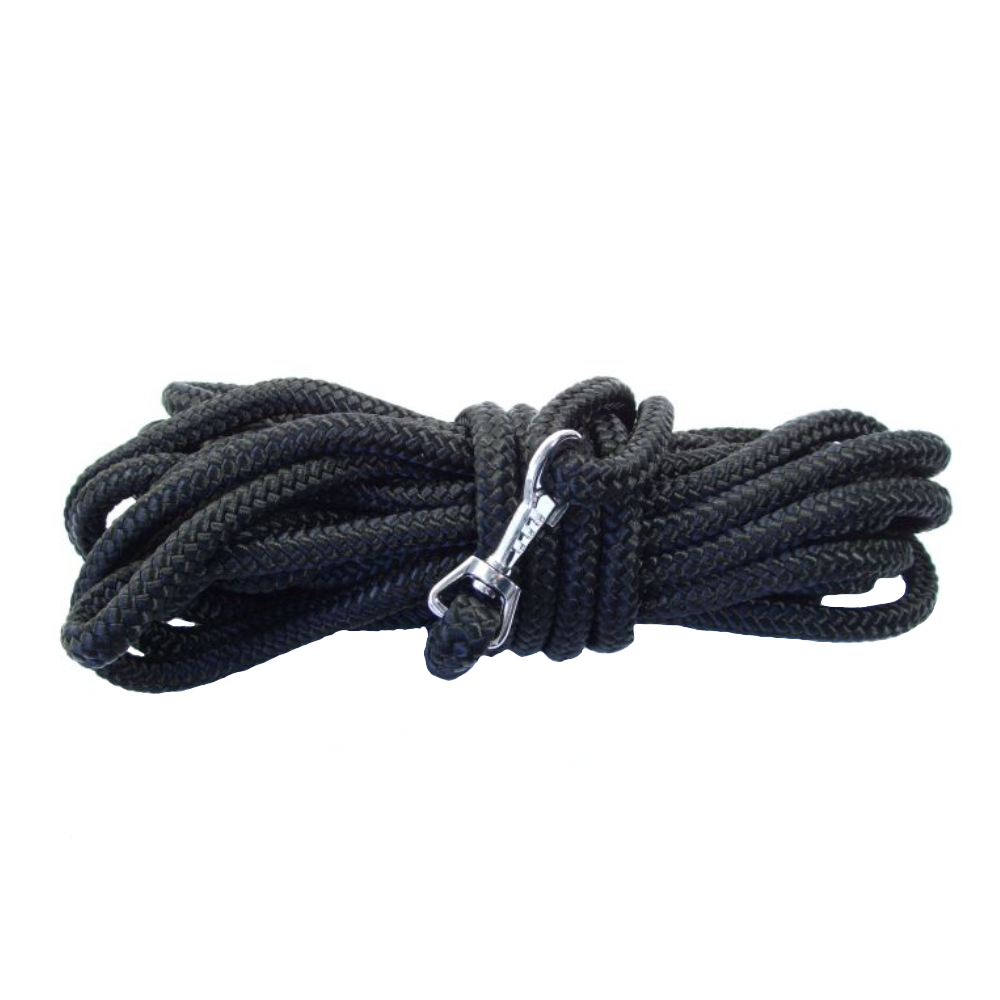 long dog rope lead