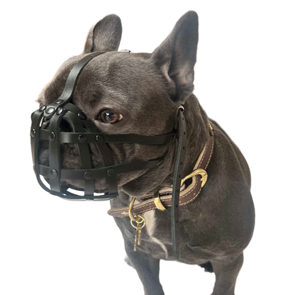 Lightweigh Leather Dog Muzzle for French Bulldogs "Frenchies" and Other Similar Breeds | Real Leather Dog Muzzle