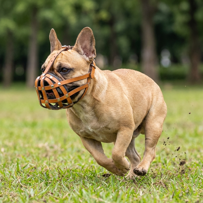 Lightweigh Leather Dog Muzzle for French Bulldogs "Frenchies" and Other Similar Breeds | Real Leather Dog Muzzle