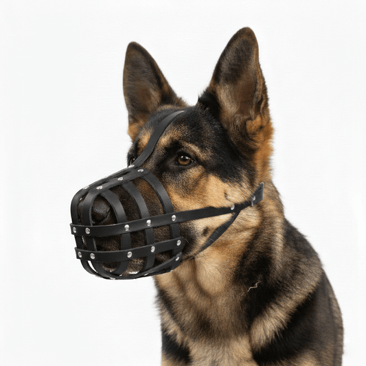 Starker, leichter Ledermaulkorb für Kaukasische Owtscharkas und andere große Hunde