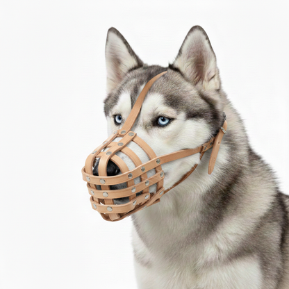 Lightweight Leather Dog Muzzle for Spitz, Poodle, Husky and Other similar snouts