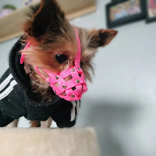 nylon dog muzzle