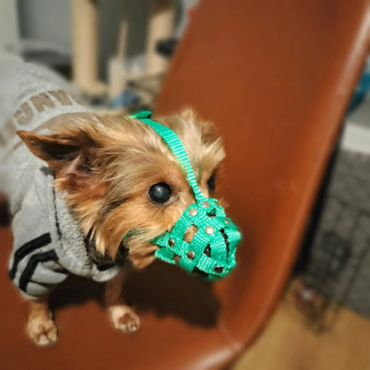 nylon dog muzzle