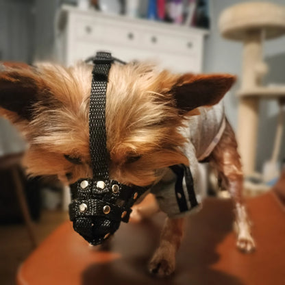 nylon dog muzzle