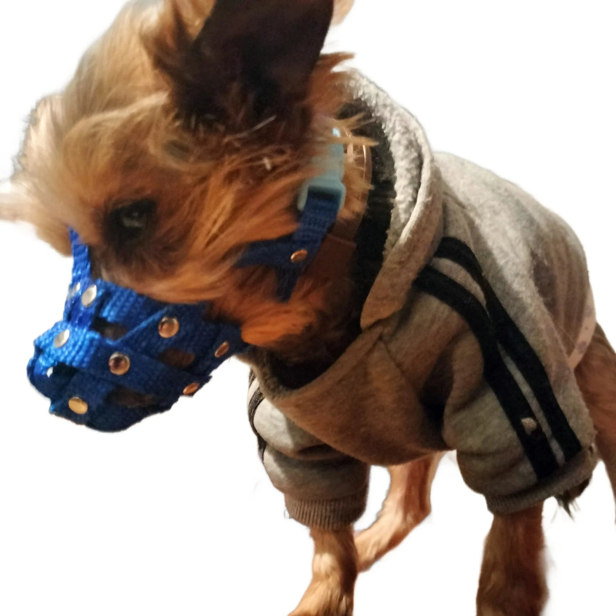 nylon dog muzzle