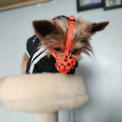 nylon dog muzzle