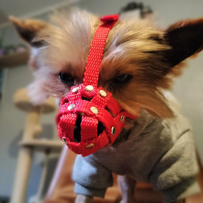 nylon dog muzzle