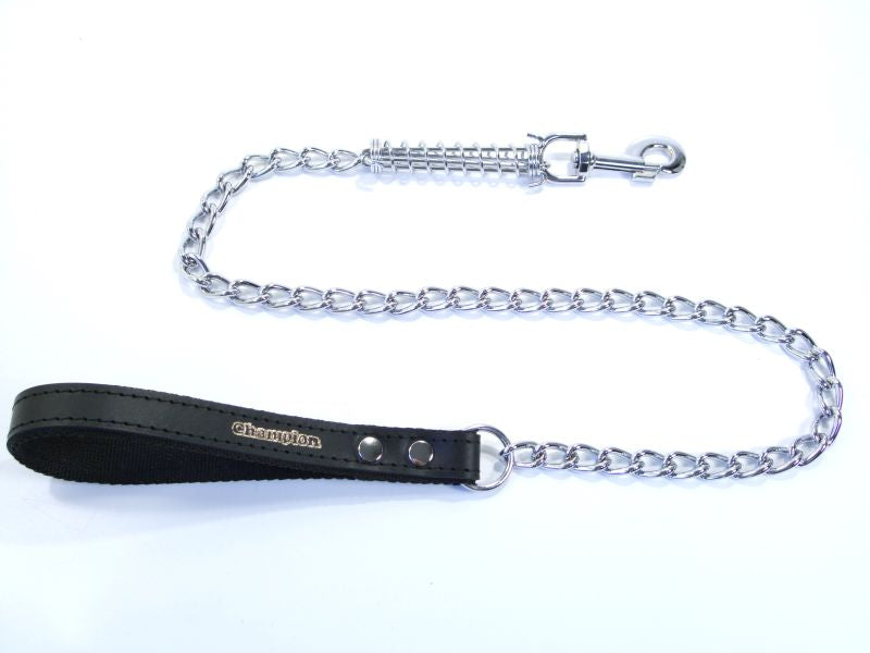 metal dog lead