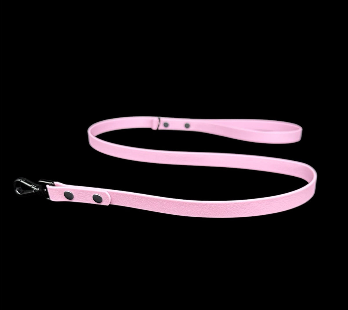 biothane dog lead