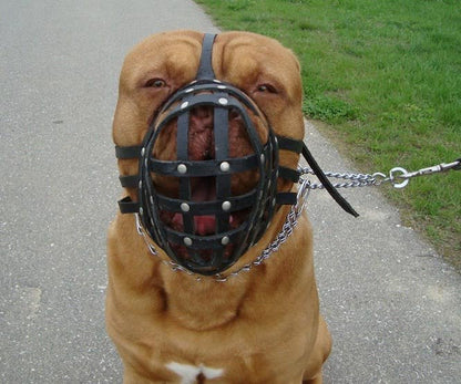 leather dog muzzle