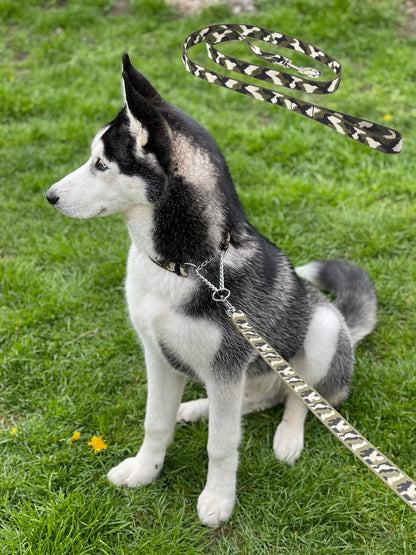 camo dog lead