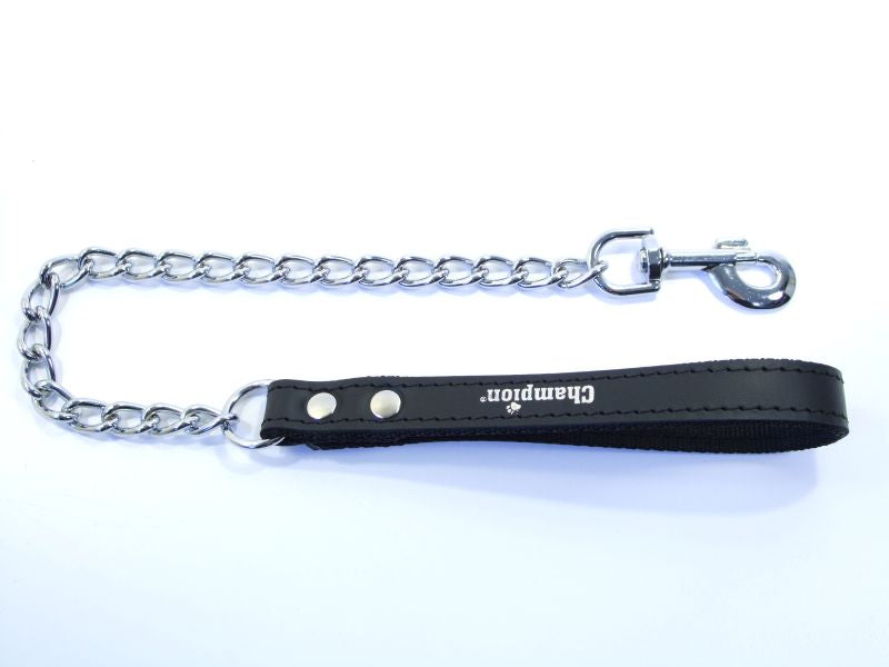 metal dog lead