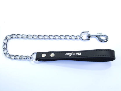 metal dog lead