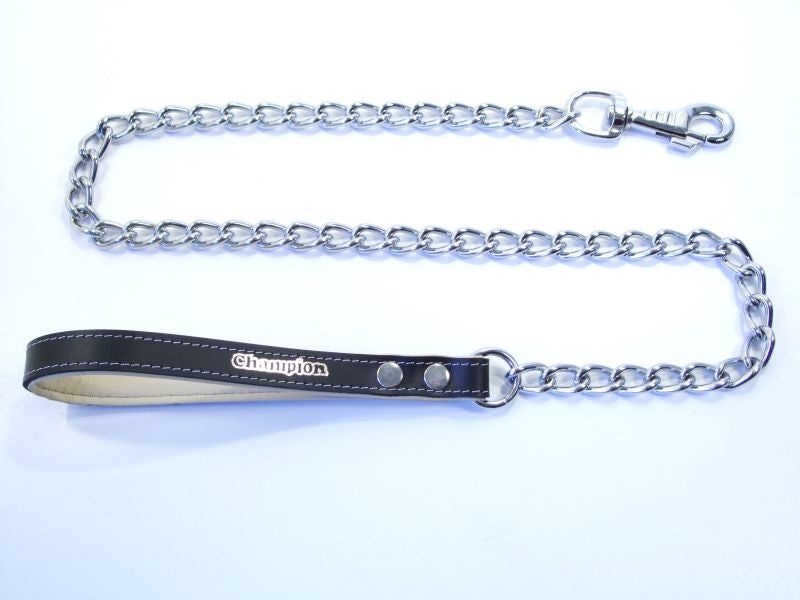 metal dog lead