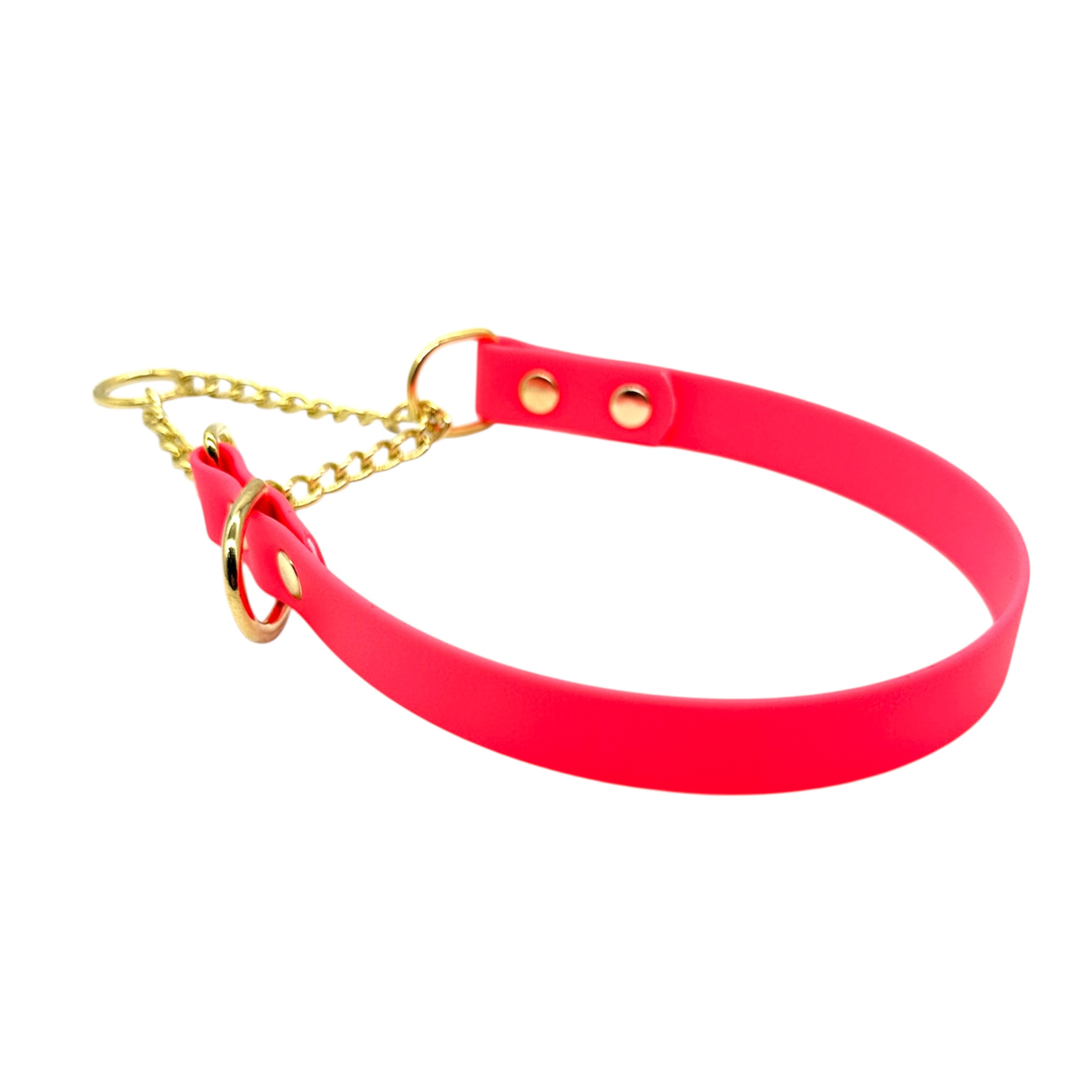 L&J Pets UK Martingale Dog Collar & Lead Set | Waterproof & Odour Proof | BioThane Webbing | Solid Brass Chain | Made in UK