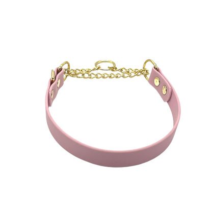 L&J Pets UK Martingale Dog Collar & Lead Set | Waterproof & Odour Proof | BioThane Webbing | Solid Brass Chain | Made in UK