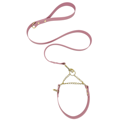 L&J Pets UK Martingale Dog Collar & Lead Set | Waterproof & Odour Proof | BioThane Webbing | Solid Brass Chain | Made in UK