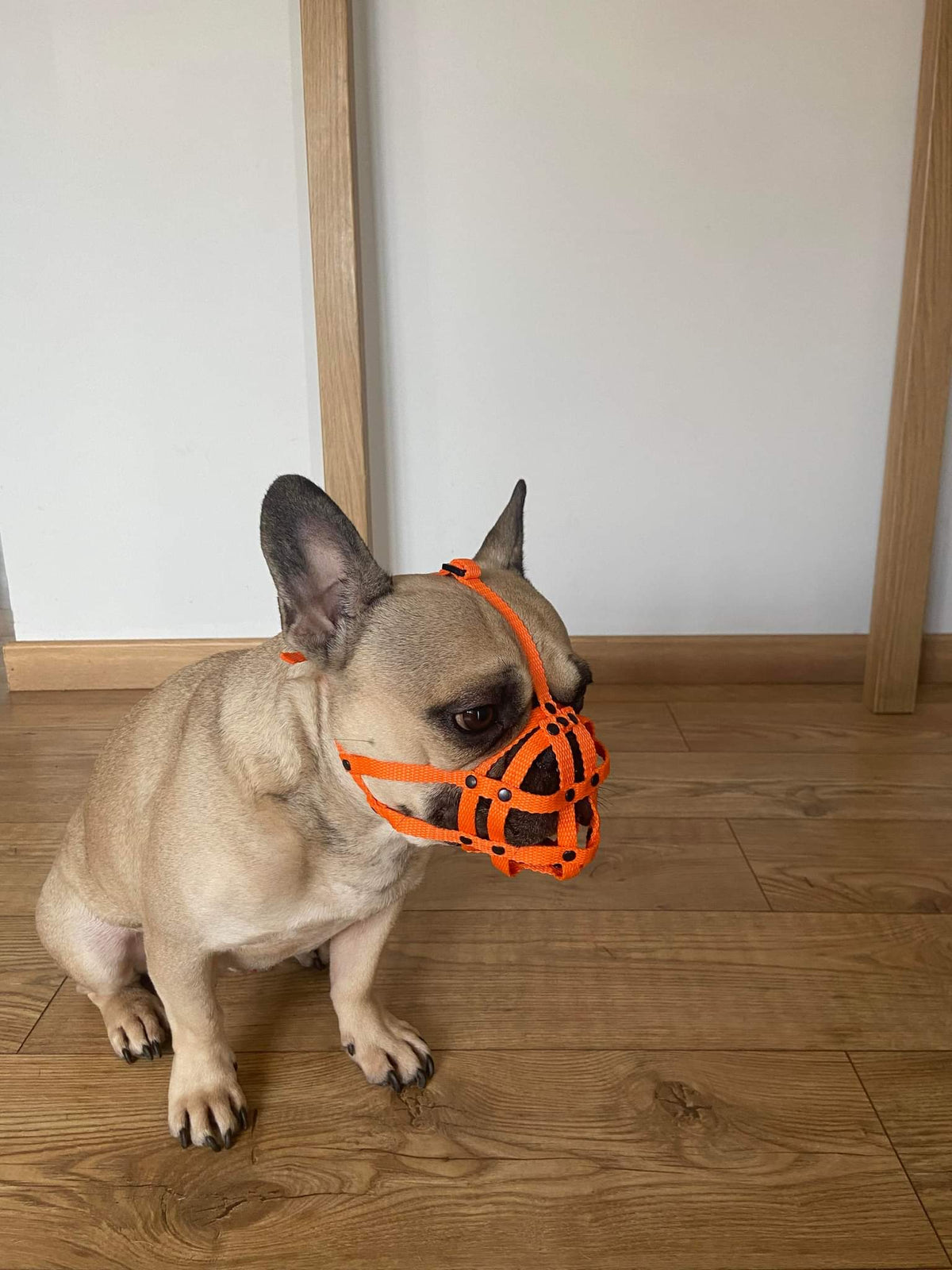 nylon dog muzzle