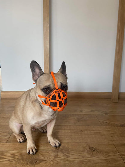 nylon dog muzzle