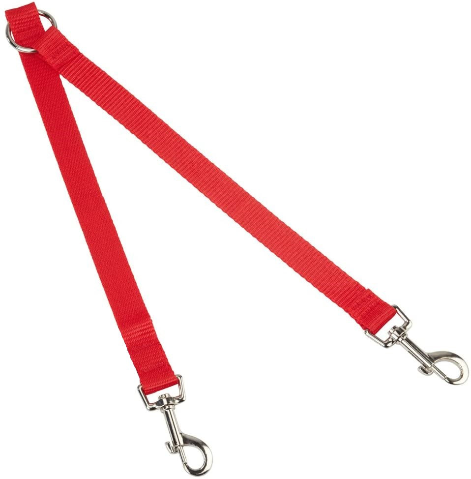 nylon dog lead