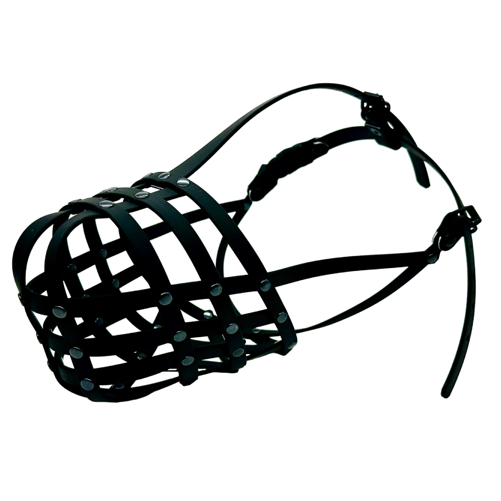 biothane muzzle