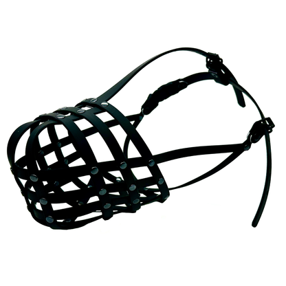 biothane muzzle