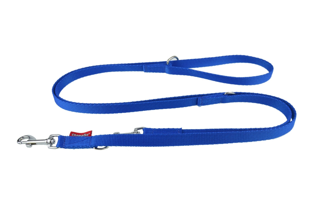 nylon dog lead