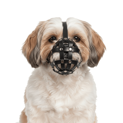 Natürlicher Ledermaulkorb für Shih Tzus und andere ähnliche Hunde