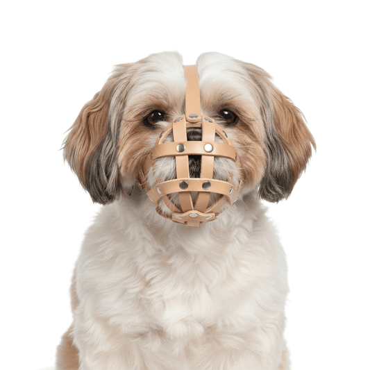 Natural Leather Dog Muzzle For Shih Tzu & Other Similar Dogs