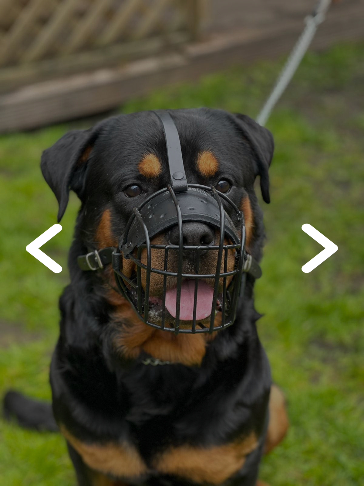 Black Leather Muzzle