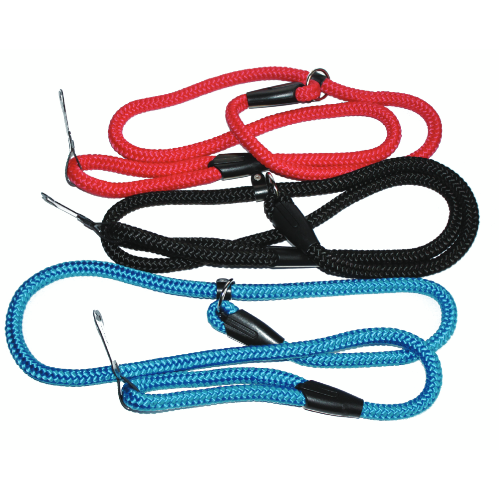 Dog Lead 