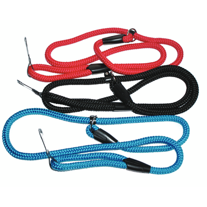 Dog Lead 