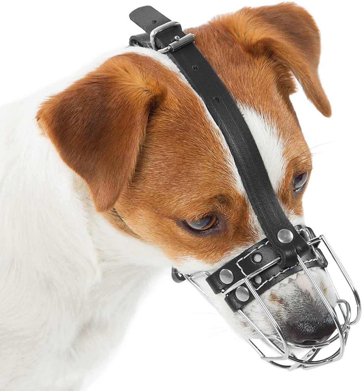 metal dog muzzle