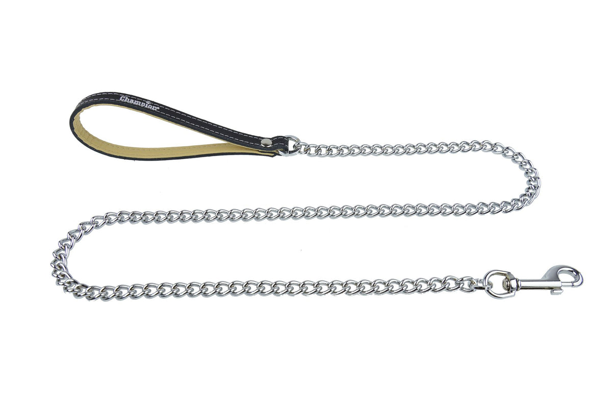 metal dog lead