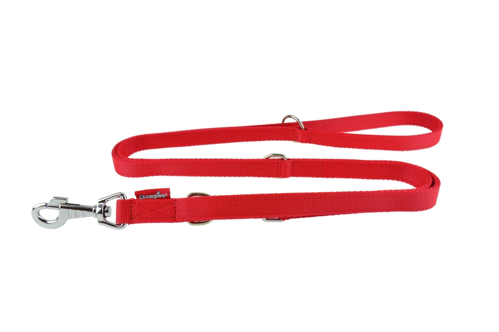 nylon dog lead