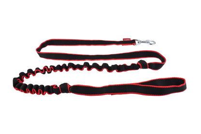 dog lead