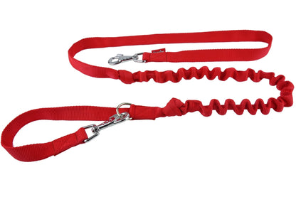 dog lead