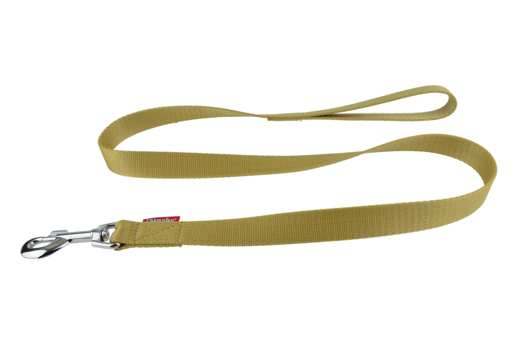 nylon dog lead