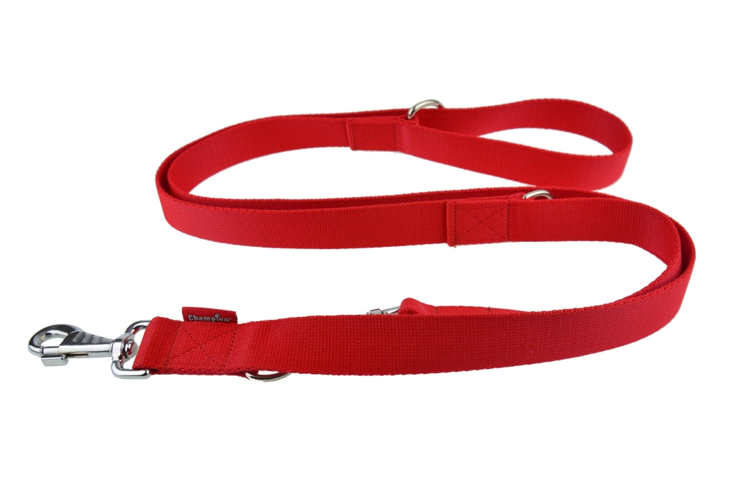 nylon dog lead
