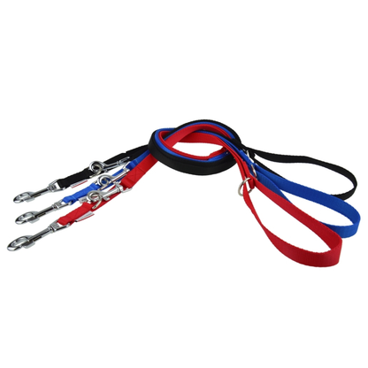 Dog lead