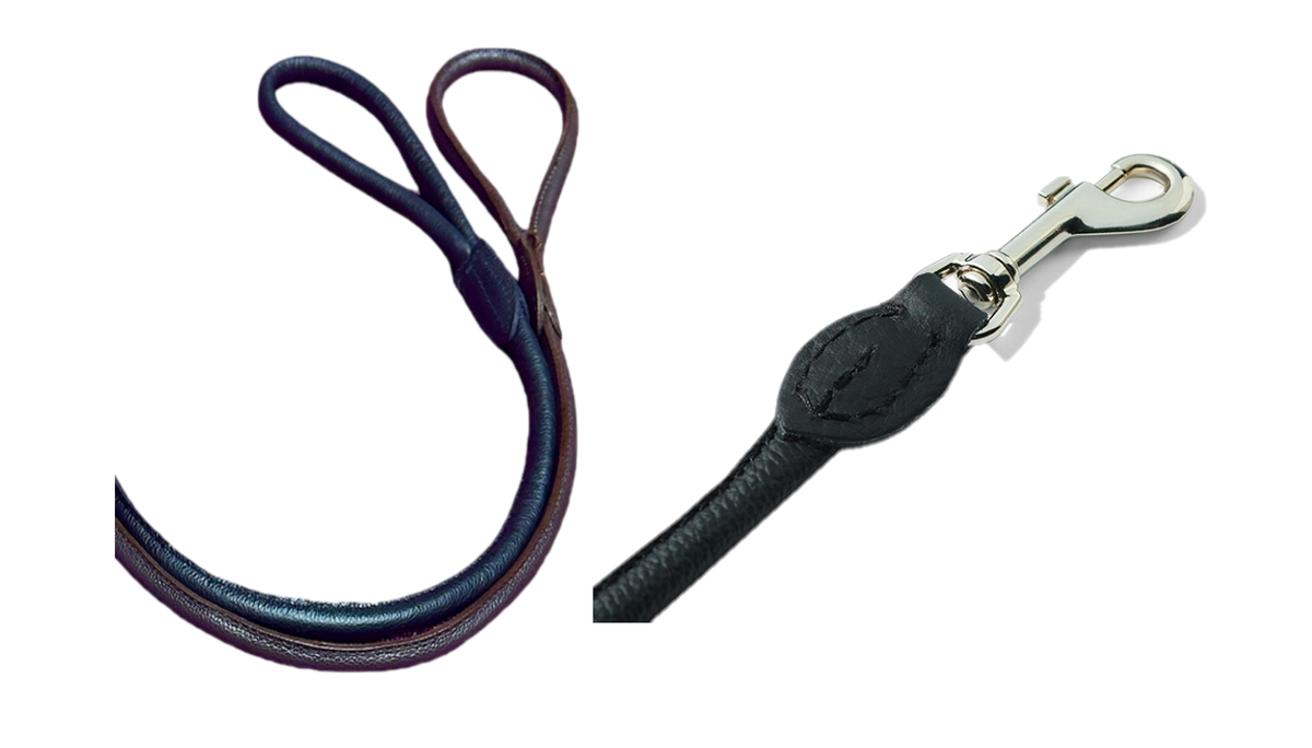 dog lead