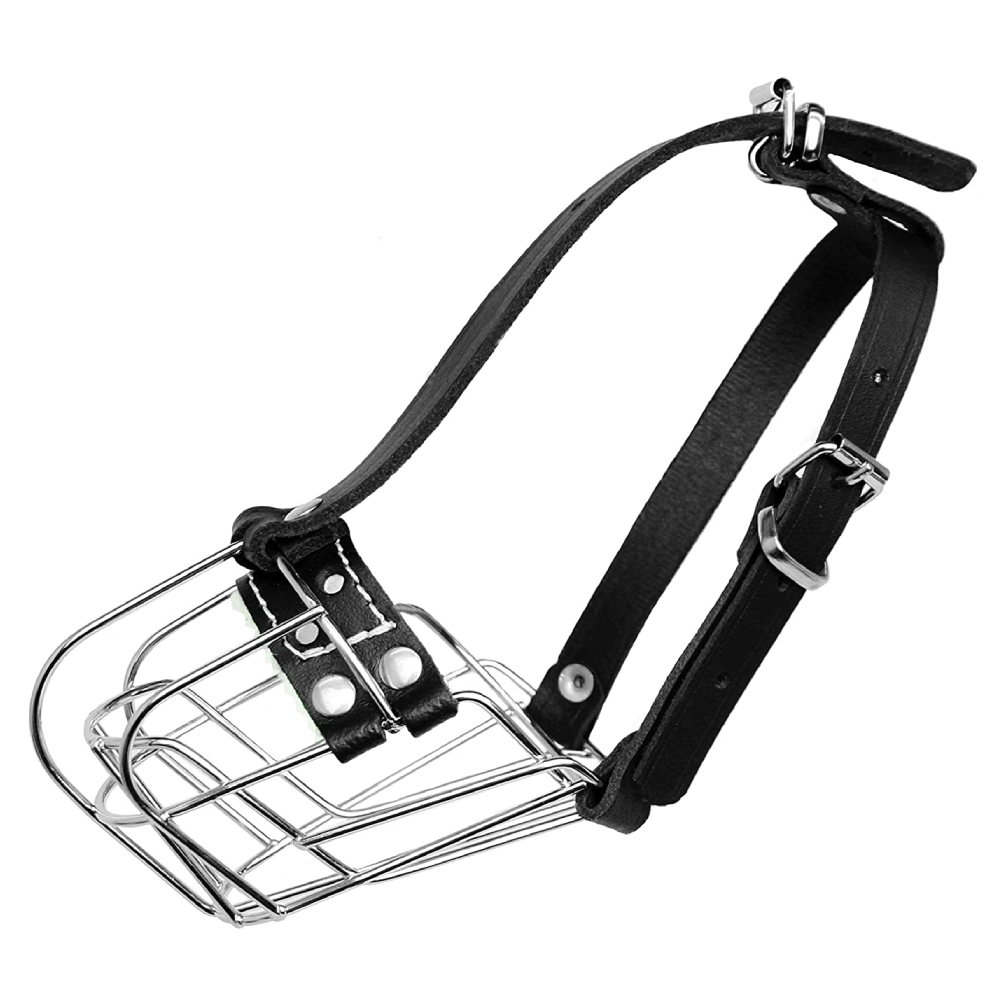 metal dog muzzle