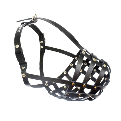 leather dog muzzle